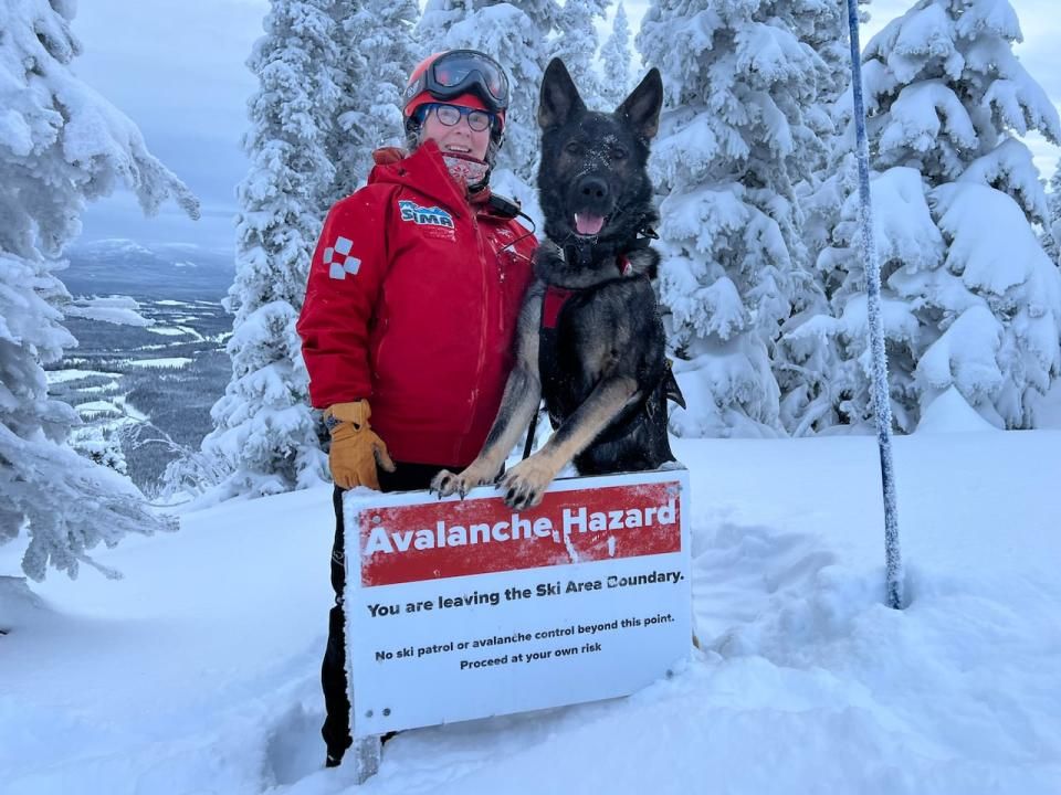 Kipper, at Whitehorse's Mount Sima ski hill, is one of 8 avalanche dogs in training registered with the Canadian Avalanche Rescue Dog Association. There are another 30 fully-qualified avalanche dogs working in Alberta and British Columbia.   (Katie Todd/CBC - image credit)