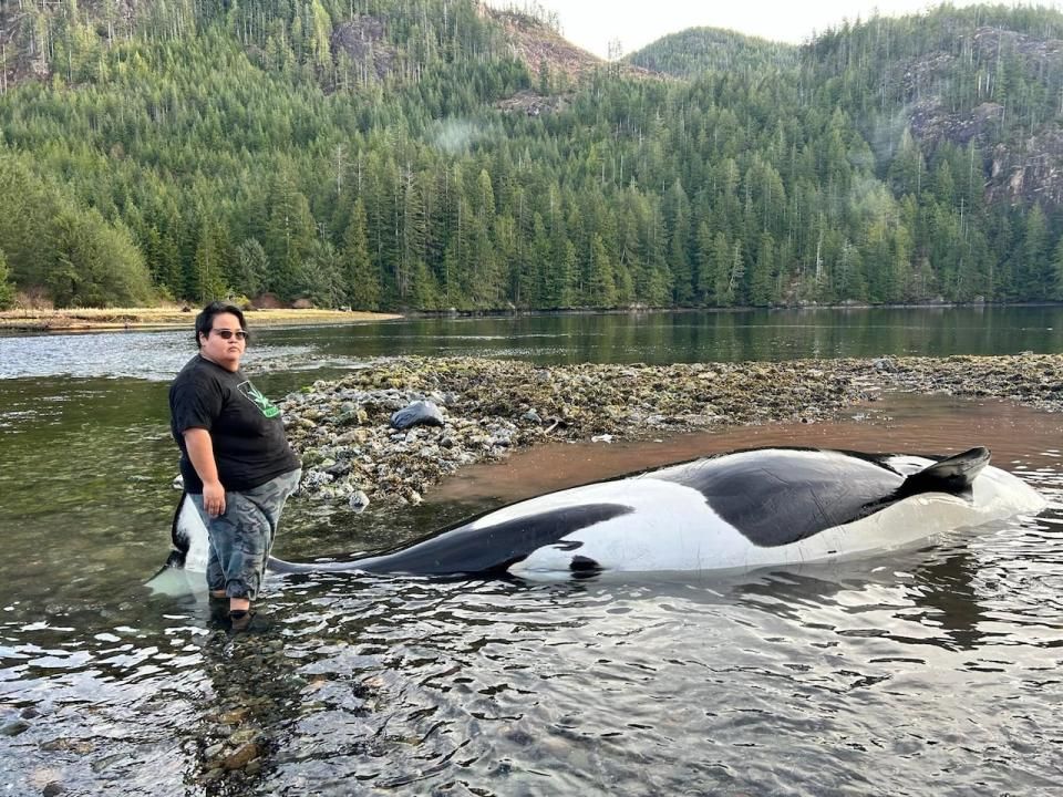 Florence Bruce, along with community members, tried to push the beached orca back into the water for over two hours but couldn't save it.  (Submitted by Florence Bruce - image credit)