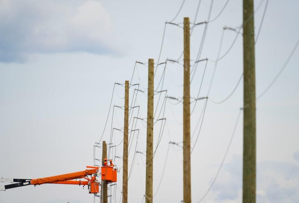 Hydro crews install new utility poles in the Ottawa Valley municipality of Mississippi Mills, Ontario in May of 2022 after a major storm hit parts of Ontario and Quebec. Hydro companies across the country replace about 100,000 wooden poles a year. That number is rising because of extreme weather events. (The Canadian Press/Sean Kilpatrick - image credit)