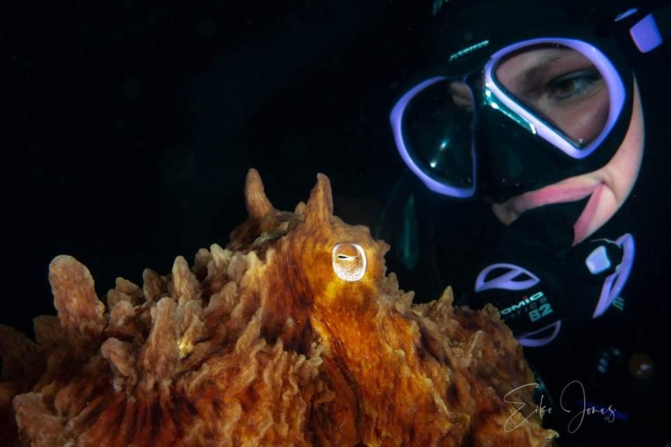 B.C. scuba diver Krystal Janicki gets up close with a giant Pacific octopus. (Credit: Eiko Jones)