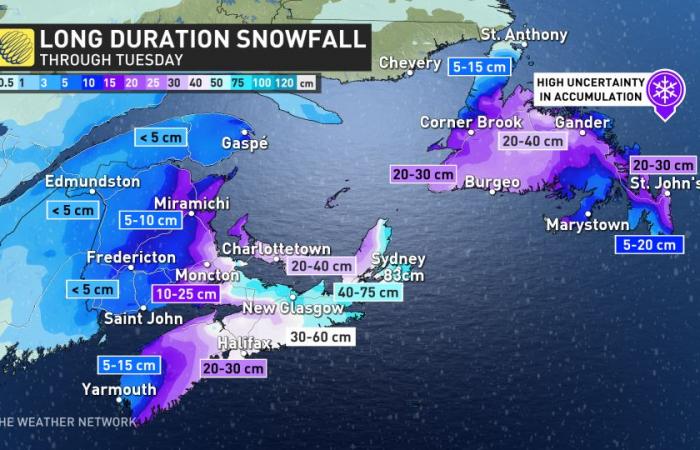 Long duration snow event over the East Coast, risk of 50+ cm