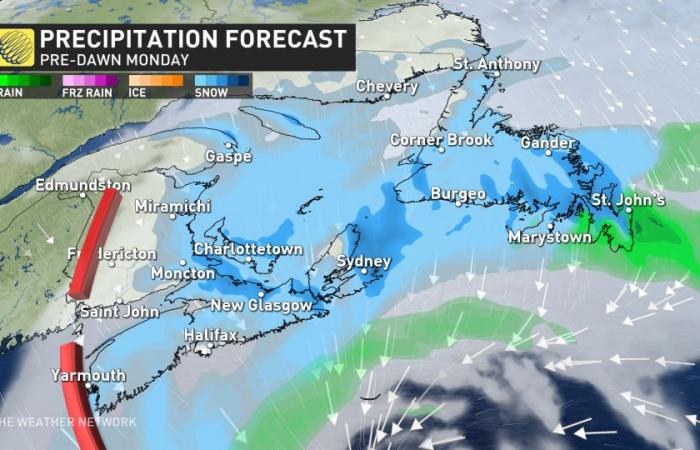 Long duration snow event over the East Coast, risk of 50+ cm