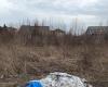 Illegal dumping on private land in Greely irks neighbours