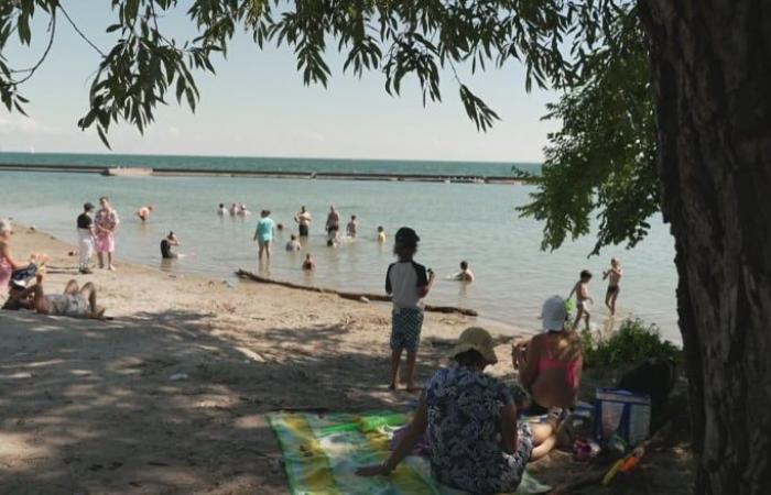 Heat warning still in effect for Toronto as city extends pool hours