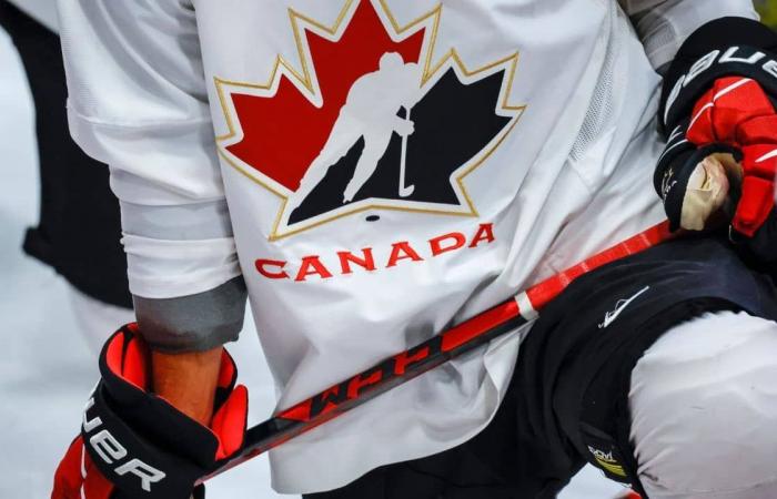 Hockey Canada says over 900 cases of on-ice discrimination reported last season