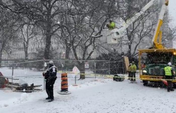 Metrolinx starts Osgoode Hall tree removal as Ontario law society waits for court to consider injunction