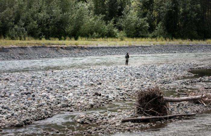 Drought conditions threatening B.C. salmon as river levels drop
