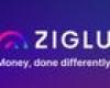 Crypto firm Ziglu plots sale after collapse of Robinhood deal