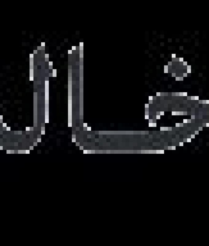 4 أندية تحصد المراكز الأولى ببطولة كأس البراعم