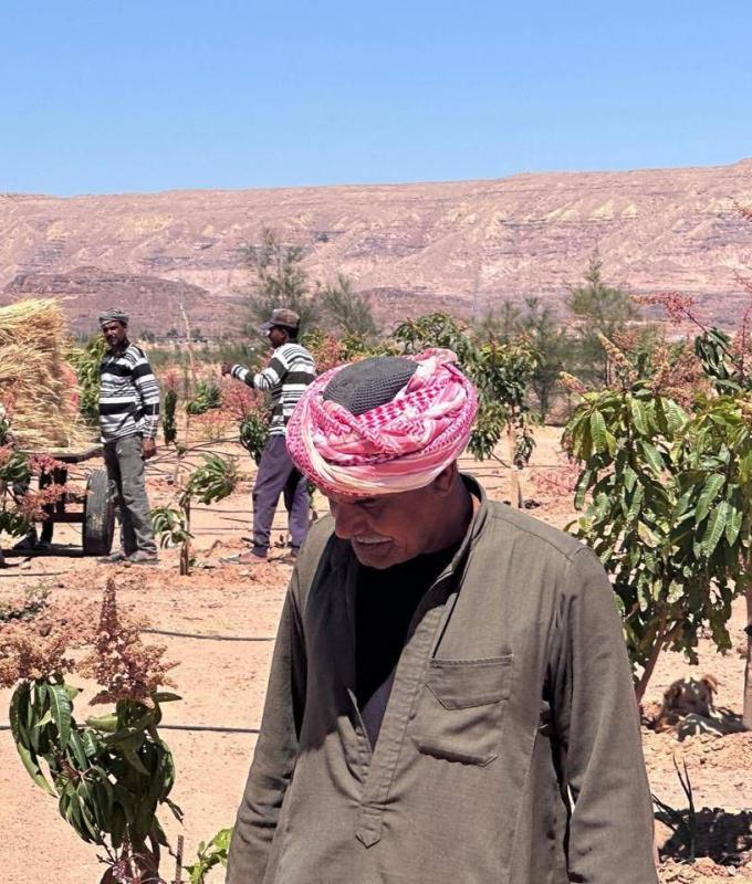 الهلال
      الأحمر:
      ليبيا
      تنقذ
      404
      مهاجرين
      على
      متن
      10
      قوارب