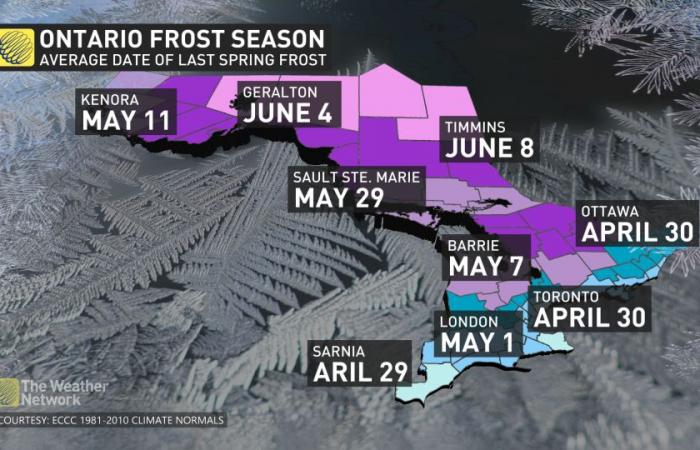 Impending frost risk in Ontario as temperatures noticeably drop