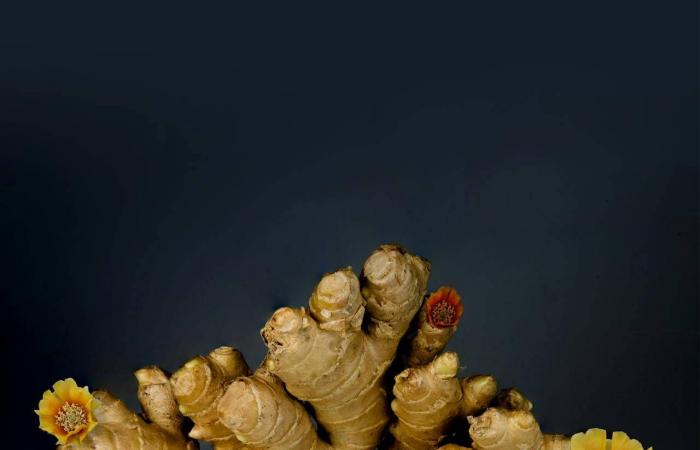 فحص
      جديد
      يكشف
      سرطان
      المثانة
      بدقة
      عالية