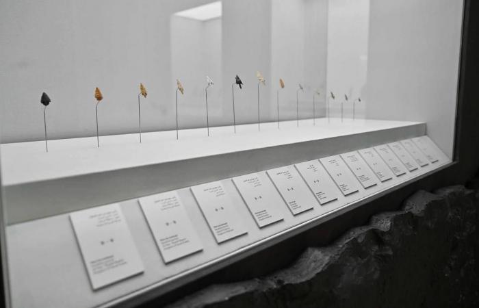 «آثار
      الخليج»...
      معرض
      متحفي
      يتتبع
      مسيرة
      الإنسان
      في
      المنطقة
      عبر
      حقب
      زمنية
      متعاقبة