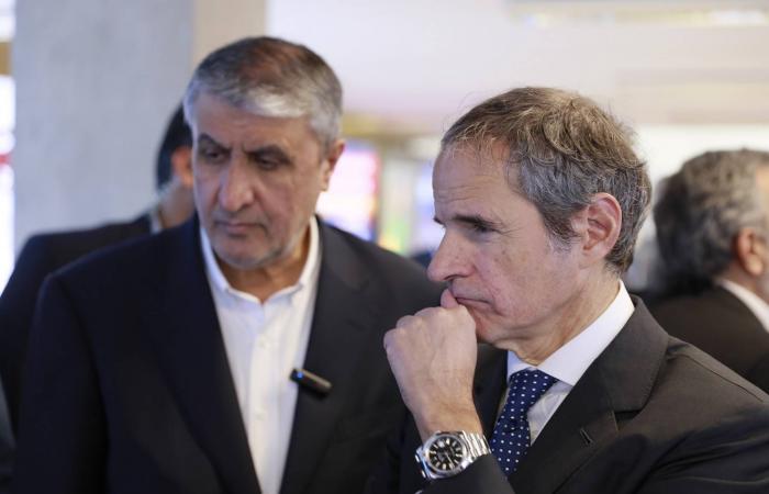 رئيس
      «منظمة
      الطاقة
      الإيرانية»:
      حاجتنا
      النووية
      حتمية