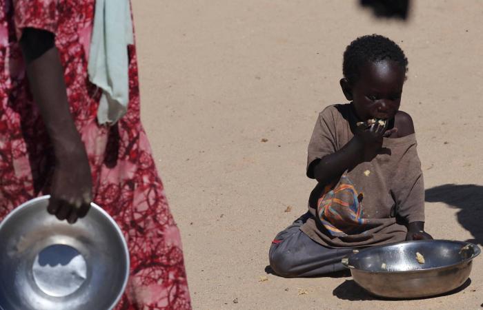 «الصحة
      العالمية»:
      مقتل
      أكثر
      من
      100
      في
      هجمات
      على
      روضة
      أطفال
      ومستشفى
      بالسودان