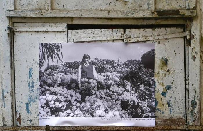 ممارسة
      الرياضة
      تحمي
      الأطفال
      من
      الحقد
      والميل
      للانتقام