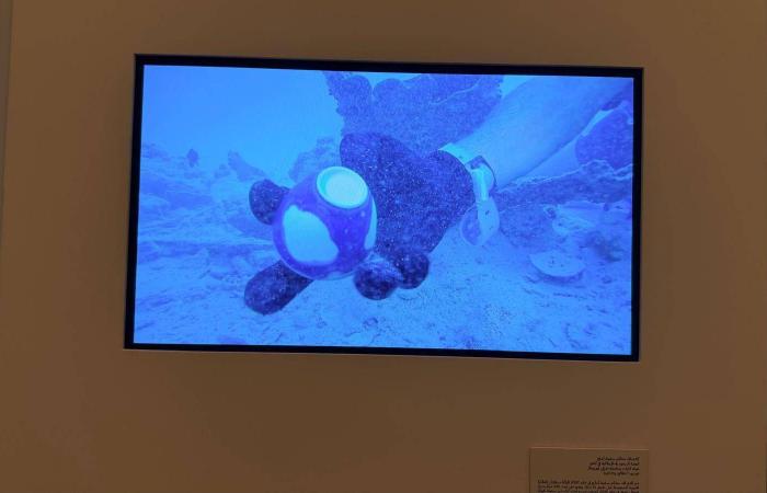 متحف
      البحر
      الأحمر
      وباب
      البنط...
      الغوص
      في
      أعماق
      تاريخ
      مدينة
      جدة