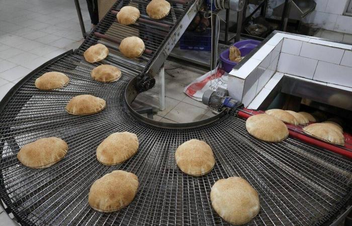 ميعاد
      النوم
      الثابت
      كل
      ليلة
      يساعد
      في
      خفض
      ضغط
      الدم
      والحفاظ
      على
      صحة
      القلب