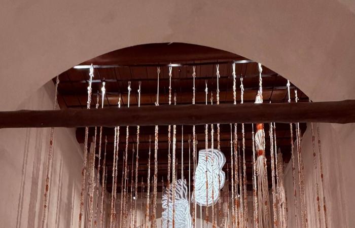 متحف
      البحر
      الأحمر
      وباب
      البنط...
      الغوص
      في
      أعماق
      تاريخ
      مدينة
      جدة