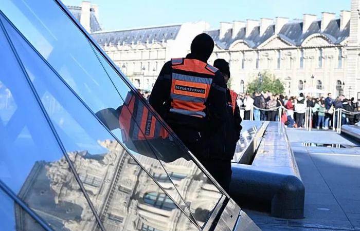 Louvre
      workers
      announce
      strike
      over
      work
      conditions
      and
      security
      after
      €88m
      heist