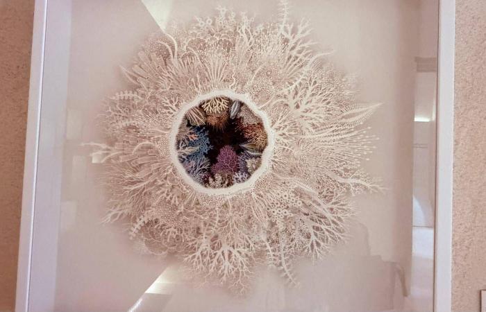 متحف
      البحر
      الأحمر
      وباب
      البنط...
      الغوص
      في
      أعماق
      تاريخ
      مدينة
      جدة