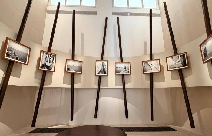 أمير
      المصري…
      ممثلٌ
      يعبر
      الجسد
      والهوية
      من
      حلبة
      الملاكمة
      إلى
      مفاتيح
      البيانو