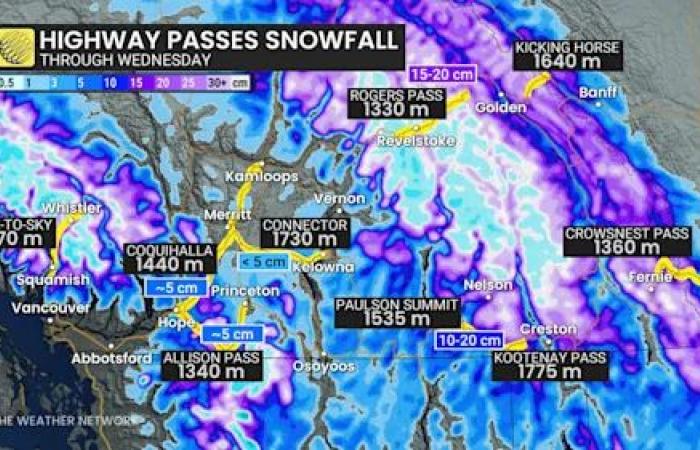 Next
      entry
      in
      B.C.'s
      atmospheric
      river
      parade
      will
      pack
      a
      punch