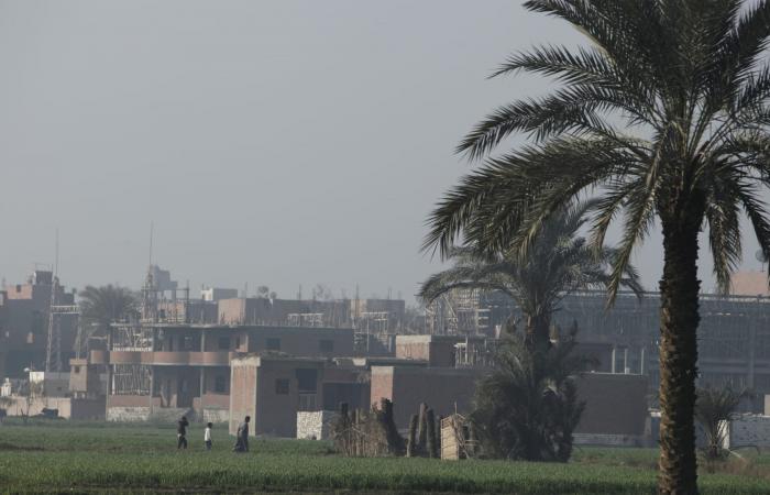 مصر: البحث مستمر عن "تمساح الشرقية".. وشيخ الصيادين يوضح لـCNN طبيعة المهمة