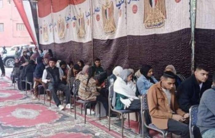 مخاوف
      من
      «تجاوزات»
      في
      انتخابات
      الدوائر
      الملغاة
      بـ«النواب»
      المصري