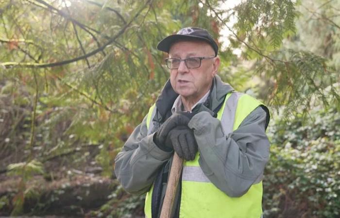Hundreds
      of
      dead
      salmon
      still
      'chock-full'
      of
      eggs
      found
      in
      Abbotsford,
      B.C.,
      creek