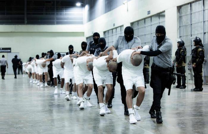 بيترو
      يضغط
      على
      مادورو...
      ويدعو
      لعفو
      عام
      وحكومة
      انتقالية
      في
      فنزويلا