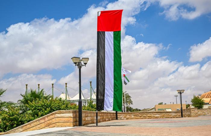 الإمارات تدعم بـ550 مليون دولار خطة الاستجابة الإنسانية لـUN لعام 2026