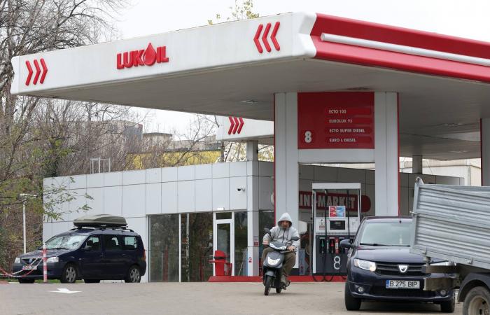 تراجع
      طفيف
      في
      التضخم
      السنوي
      بمصر
      إلى
      12.3
      %
      خلال
      نوفمبر