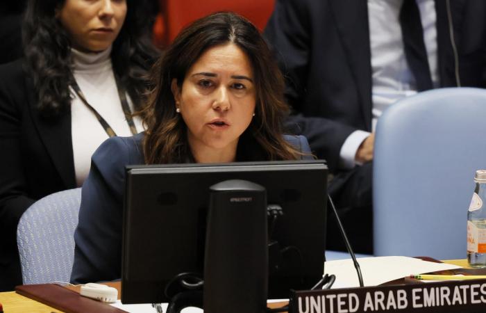 مسؤولة إماراتية: ملتزمون بهدنة إنسانية في السودان لكن لا نريده أن يصبح "ملاذا للإرهابيين"