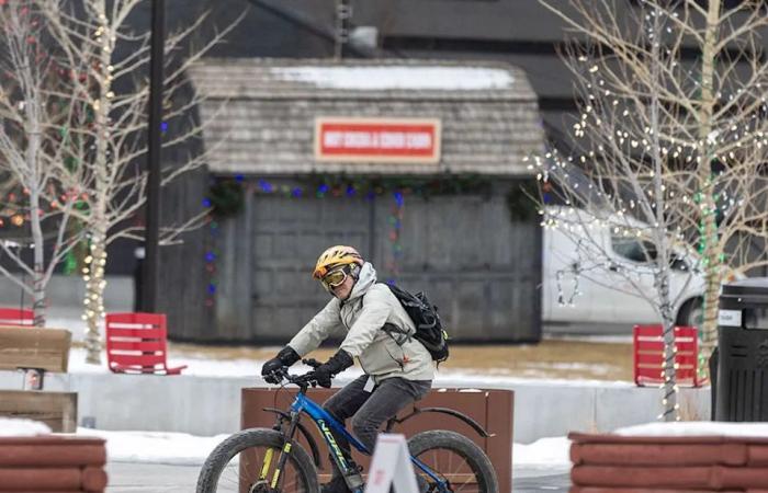 New
      Calgary
      Stampede
      holiday
      festival
      set
      to
      giddyup