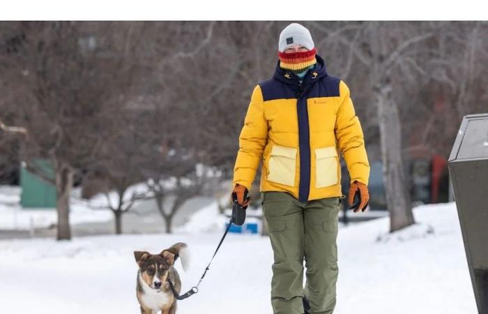 Cold
      snap
      is
      here:
      A
      meteorologist
      explains
      why
      temperatures
      in
      Calgary
      drop
      so
      quickly