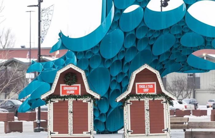 New
      Calgary
      Stampede
      holiday
      festival
      set
      to
      giddyup