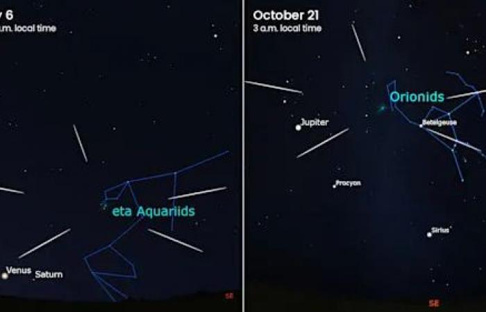 Look
      up!
      The
      fabulous
      Geminid
      meteor
      shower
      peaks
      this
      weekend