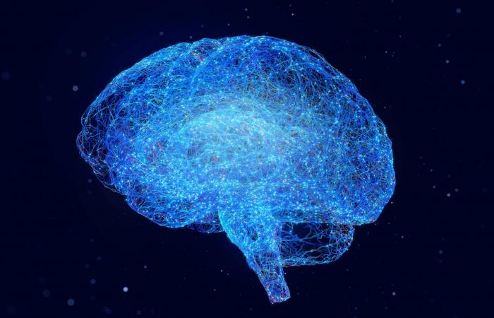 علاج
      مبتكر
      وواعد
      لاستعادة
      المجال
      البصري
      لدى
      الناجين
      من
      السكتات