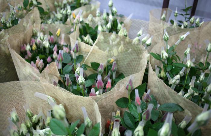 فلسفة خاصة لمصمم هندي في تنظيم الحفلات الضخمة وتقديم الهدايا