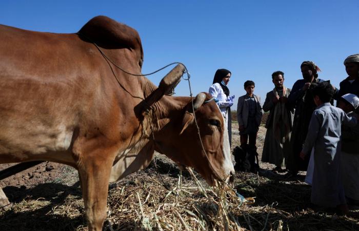 جبايات
      الحوثيين
      تعمّق
      الركود
      الاقتصادي
      وتغلق
      عشرات
      الشركات