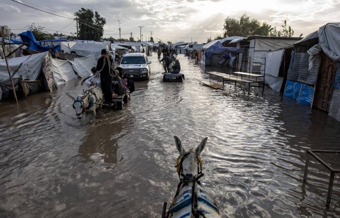 وفاة
      11
      شخصاً
      وانهيار
      منازل
      جراء
      المنخفض
      الجوي
      في
      قطاع
      غزة