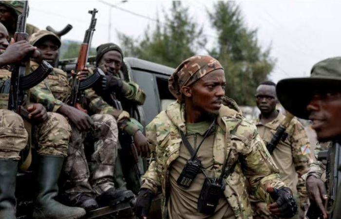 واشنطن
      تتهم
      رواندا
      بـ«جر
      المنطقة
      إلى
      حرب»
      على
      خلفية
      أحداث
      الكونغو
      الديمقراطية