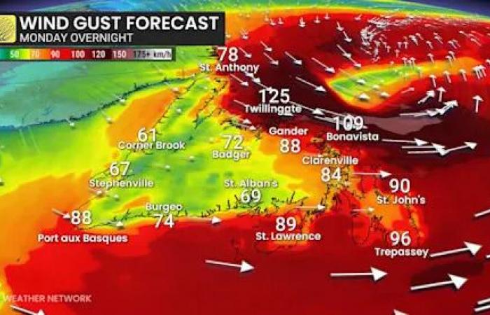 Weather
      bomb
      threatens
      blizzard
      conditions
      across
      parts
      of
      Atlantic
      Canada