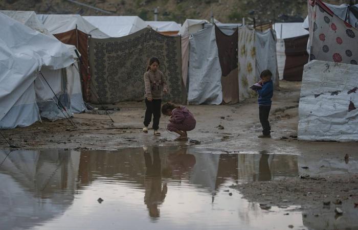 توثيق
      23
      أسيراً
      لبنانياً
      لدى
      إسرائيل