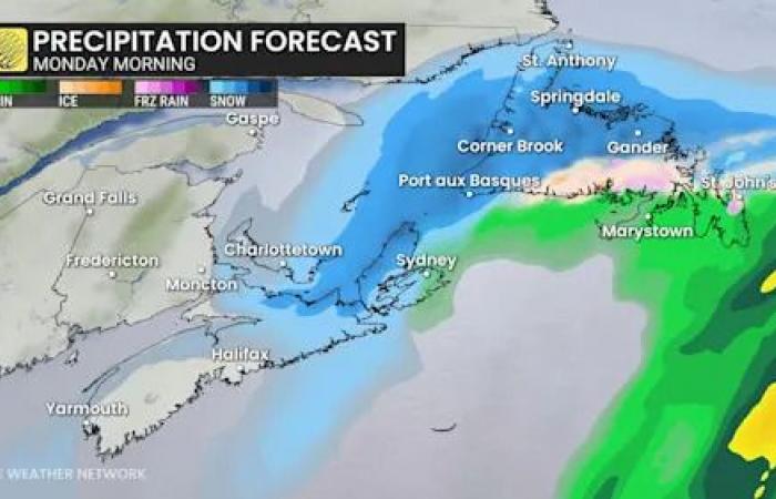 Weather
      bomb
      threatens
      blizzard
      conditions
      across
      parts
      of
      Atlantic
      Canada