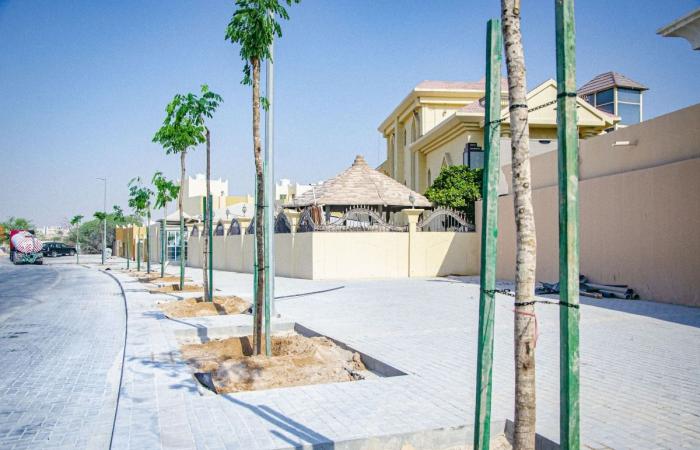 12 عاماً من الإنجاز.. "أشغال" تعيد رسم ملامح البنية التحتية في قطر