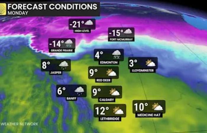 Temperatures
      jump
      in
      Alberta
      with
      wild
      wind
      gusts
      that
      could
      top
      100
      km/h