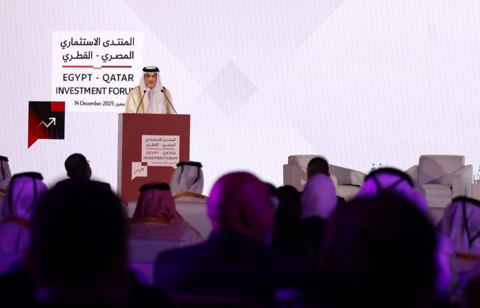 انعقاد المنتدى الاستثماري المصري القطري بالقاهرة