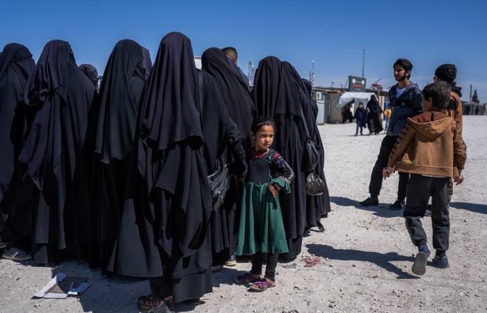 تقارير:
      عملية
      أمنية
      سورية
      ضد
      خلايا
      «داعش»
      رداً
      على
      هجوم
      تدمر